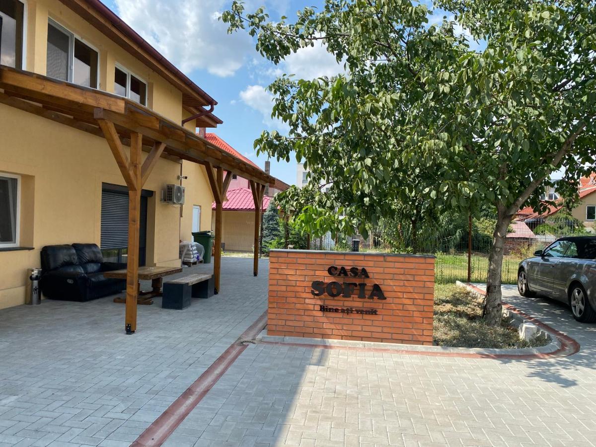 Casa Sofia Hotel Satu Mare Buitenkant foto