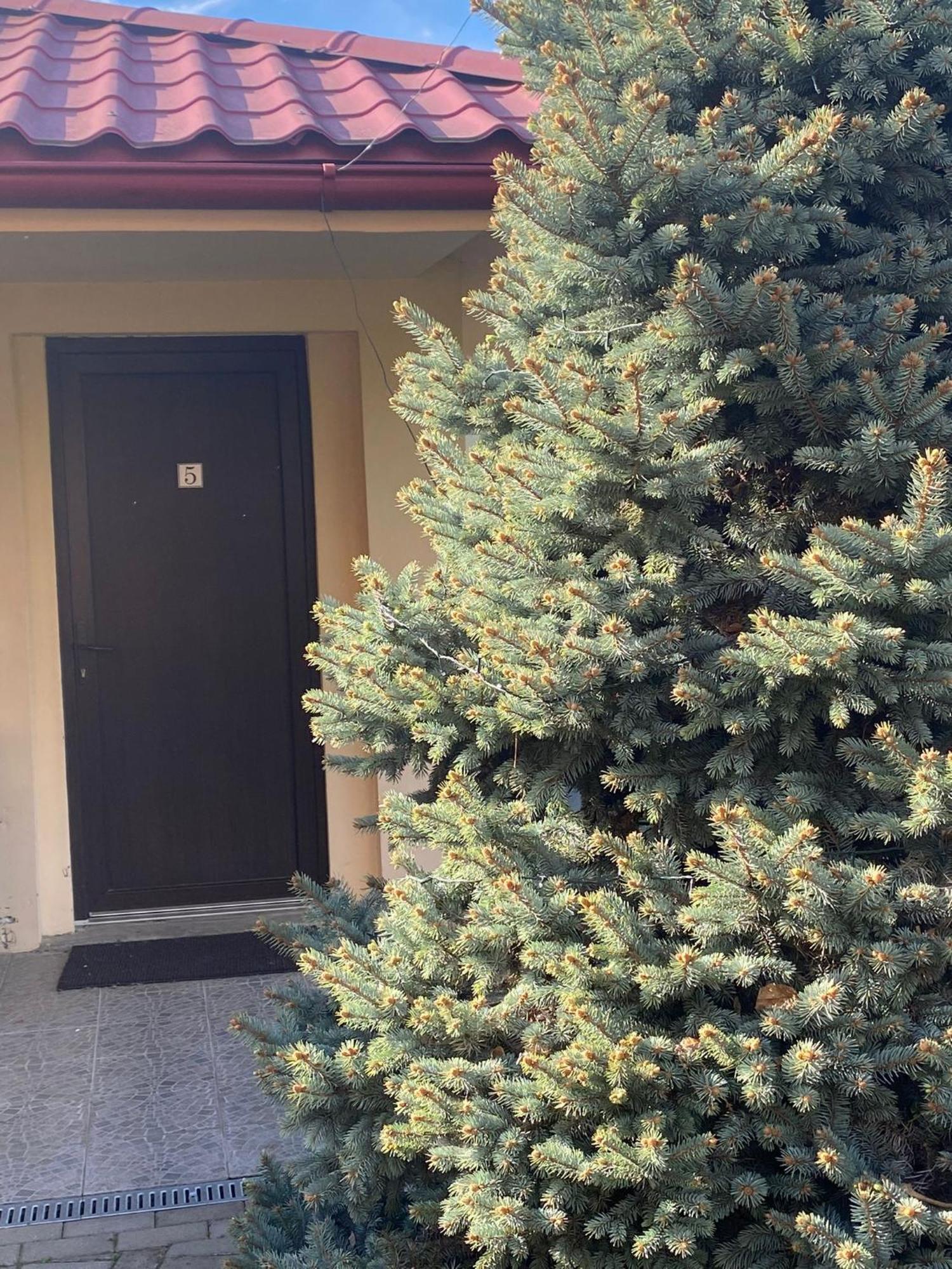 Casa Sofia Hotel Satu Mare Buitenkant foto